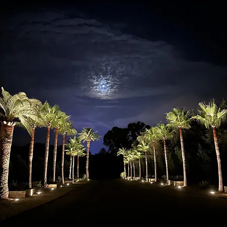 Les Arbousiers - Luxury With 25m Pool & Sea-view Rooftop Willa *